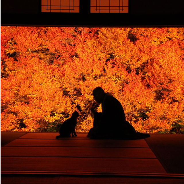Ankokuji Temple