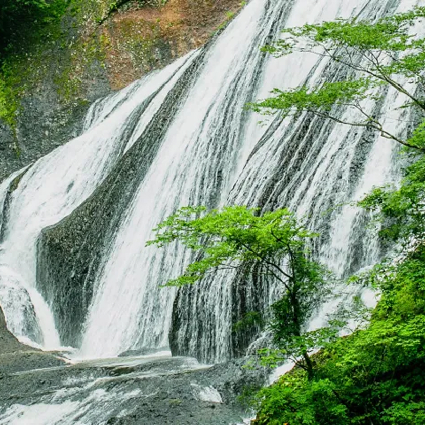 Where Art Meets Scenery: A Journey to Mikata Highlands